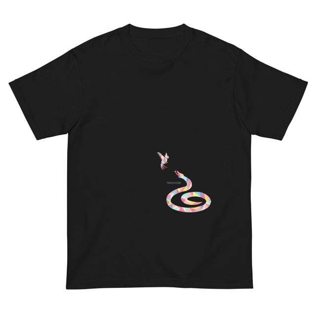 スタンダードTシャツ | 太極拳com Tシャツ部（TAICHI COM）